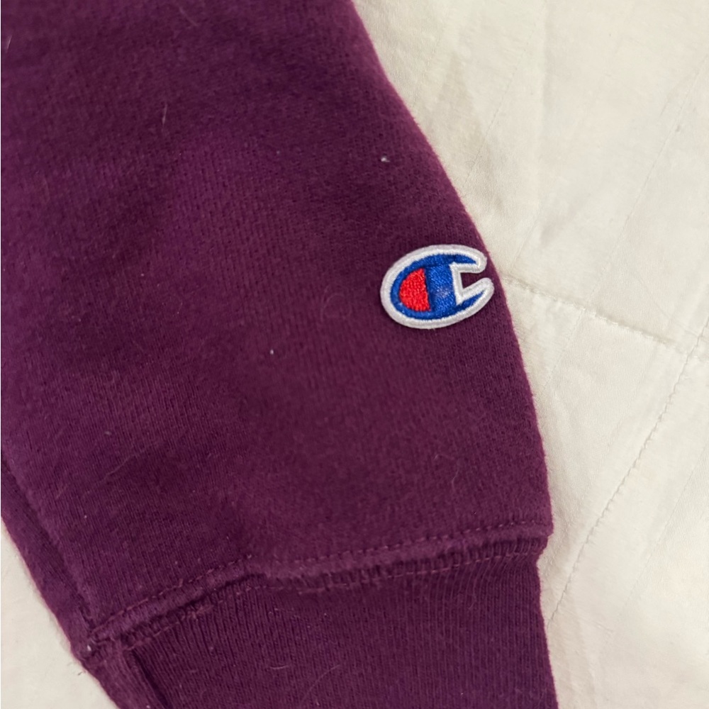 VINTAGE CHAMPION REVERSE WEAVE SWEATSHIRT CREWNECK SIZE LARGE PURPLE 90S - Picture 4 of 4